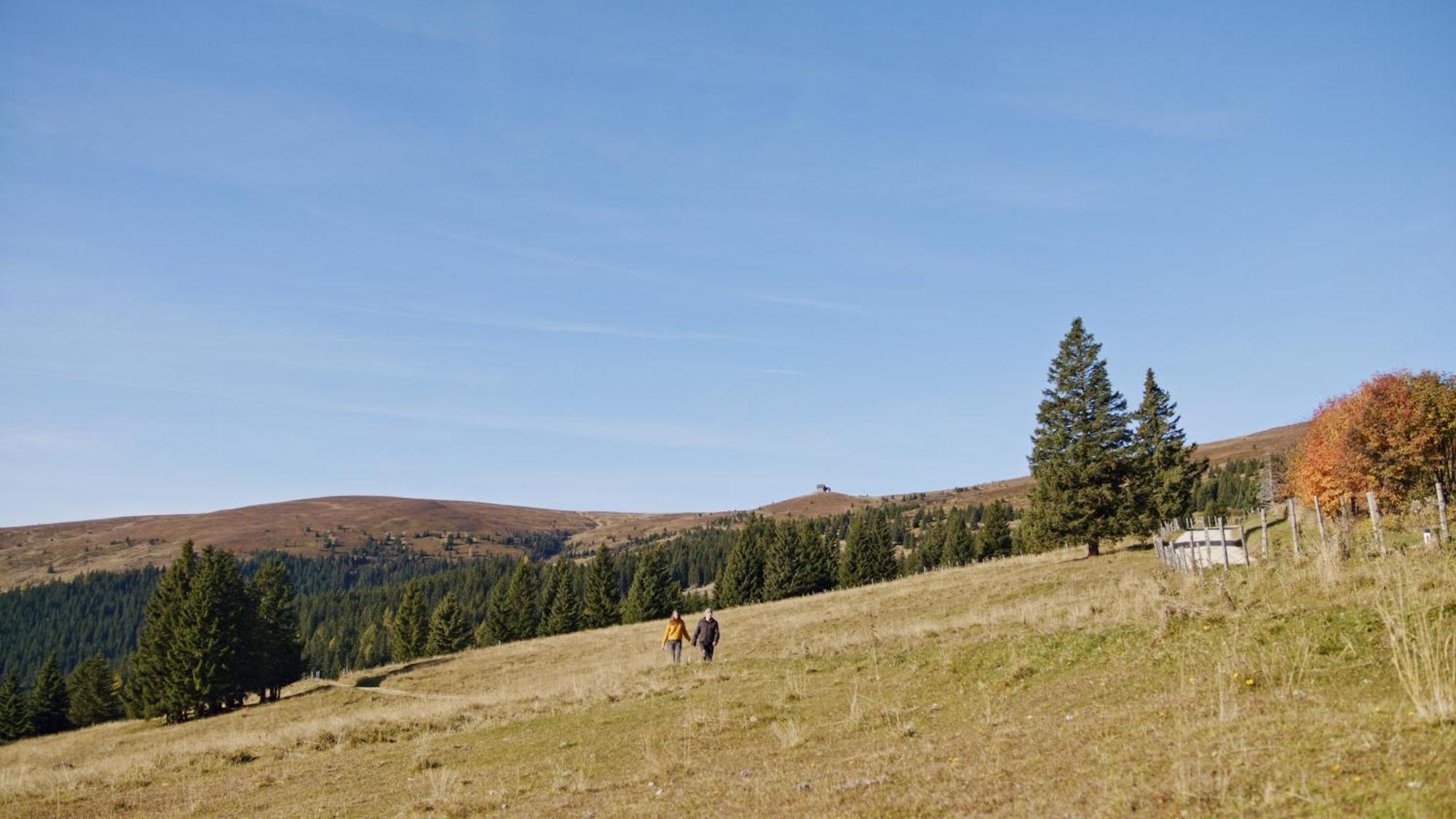 Alpengasthaus Gießlhütte Wolfsberg Exterior foto