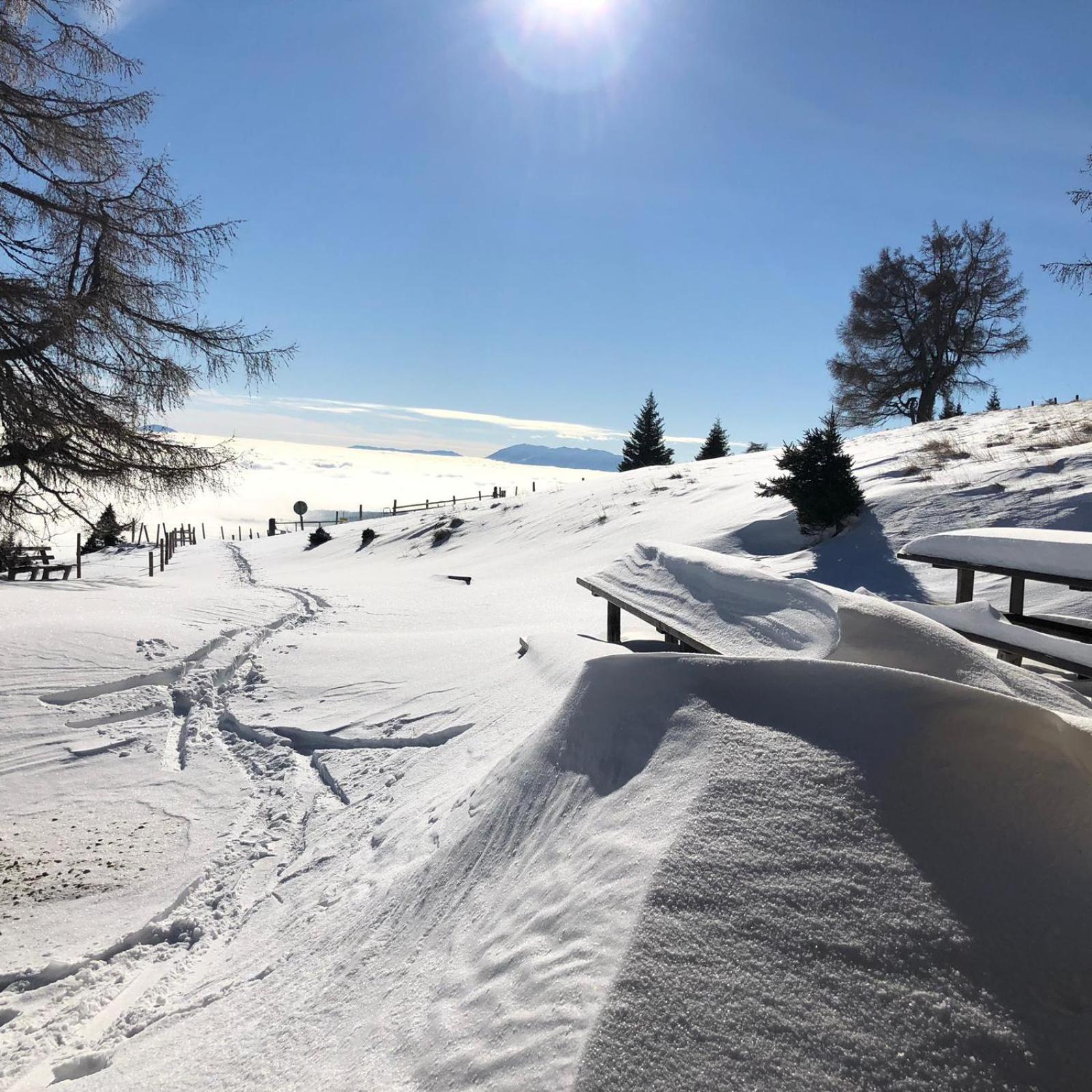 Alpengasthaus Gießlhütte Wolfsberg Exterior foto